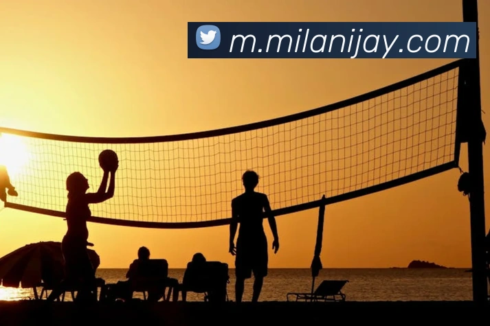 米兰体育平台生态图